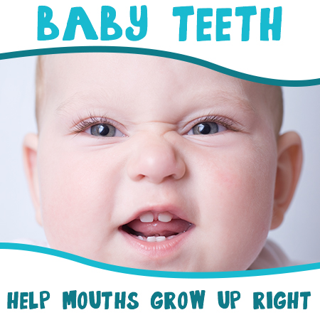 Highlands Ranch dentist, Dr. Tyler Twiss at Twiss Dental, discusses the importance of baby teeth in setting the stage for good oral health later in life.